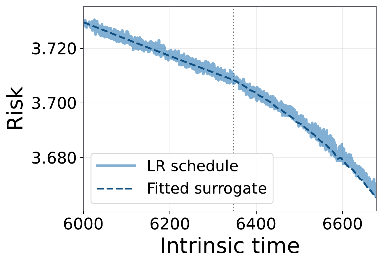 The frozen surrogate predicting the held-out WSD validation trajectory without refitting.